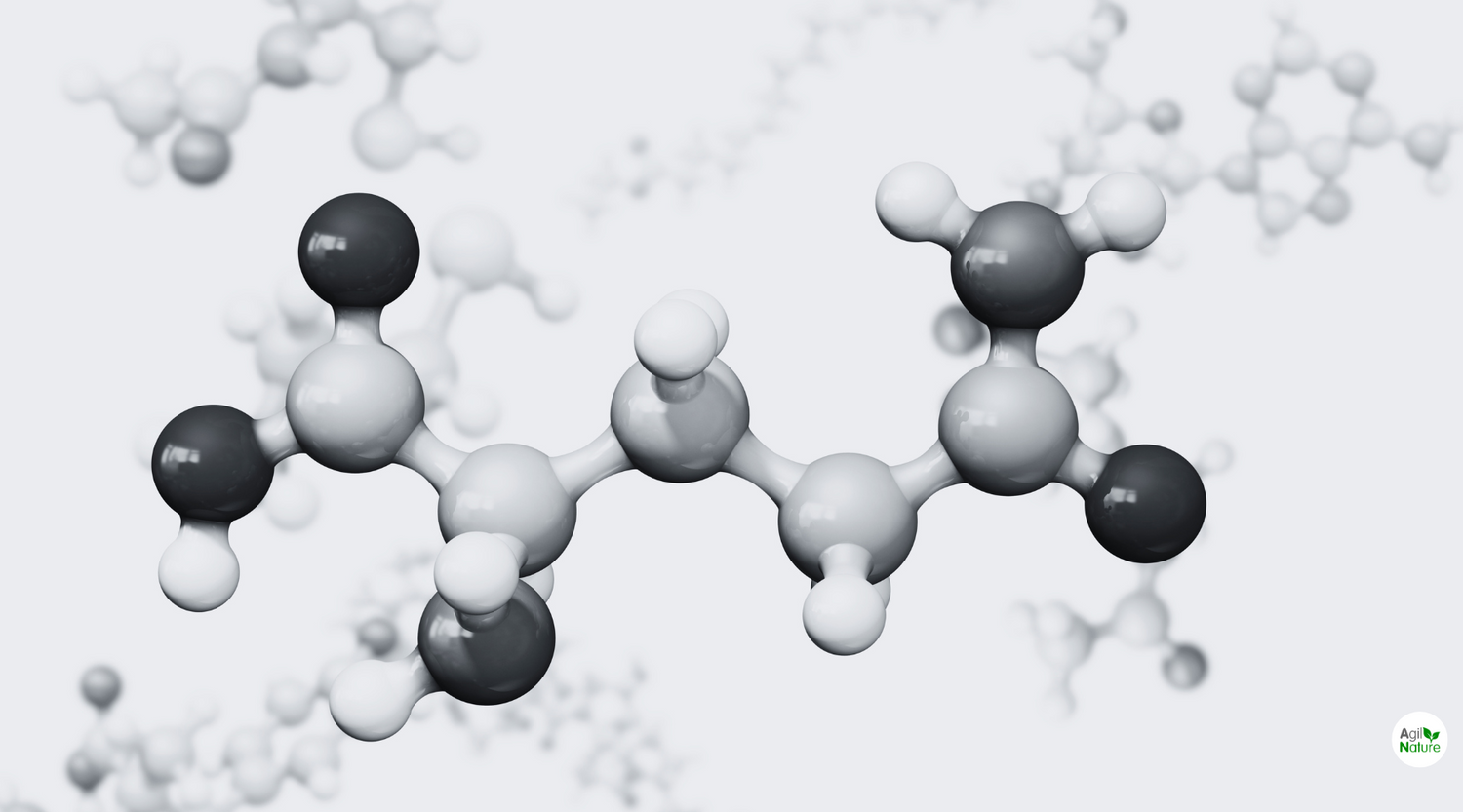 Aminosäuren Profile mal genau erklärt. Wie viele braucht man und was sind essenzielle?