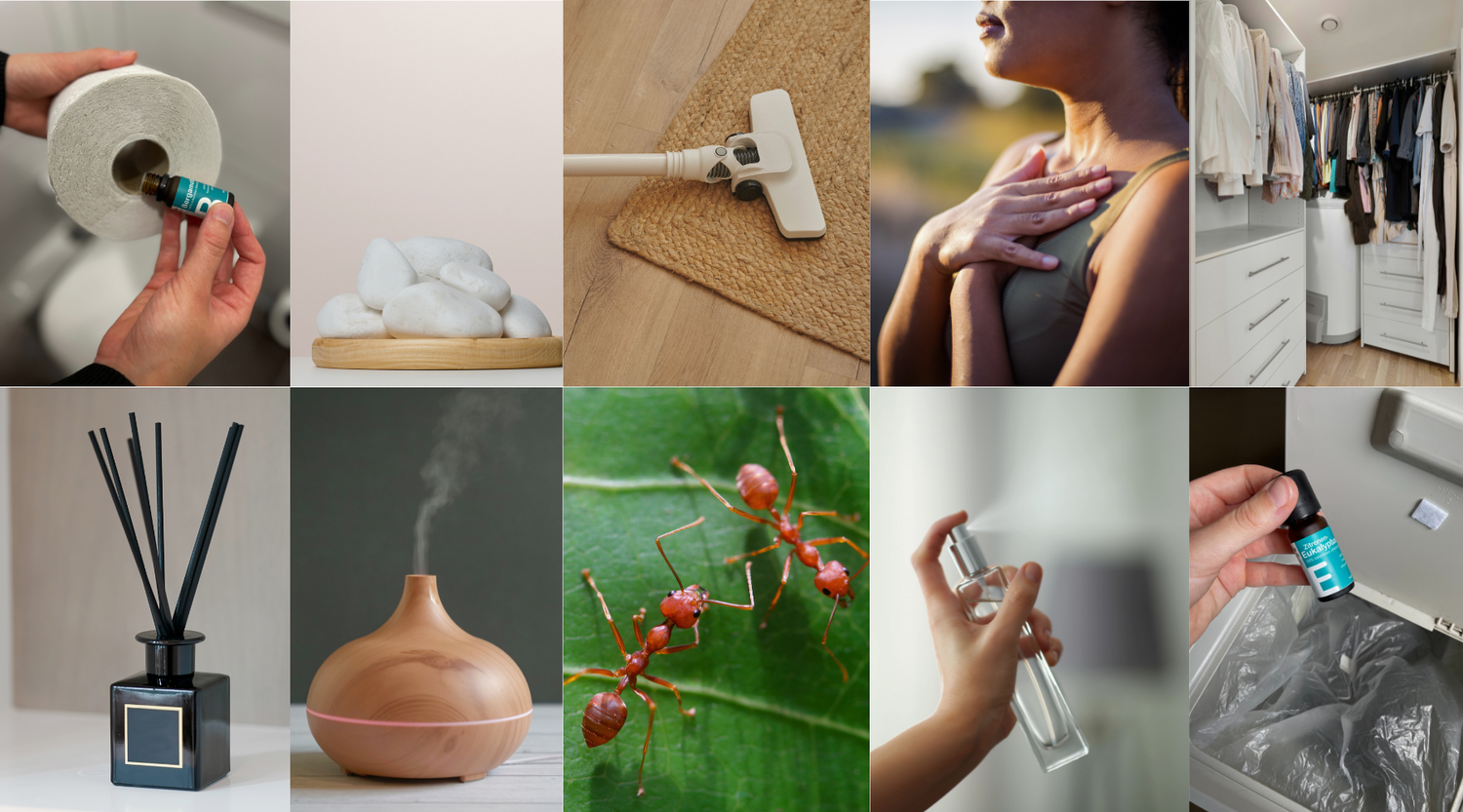 Frische Luft und Wohlbefinden: Clevere Anwendungstipps für ätherische Öle