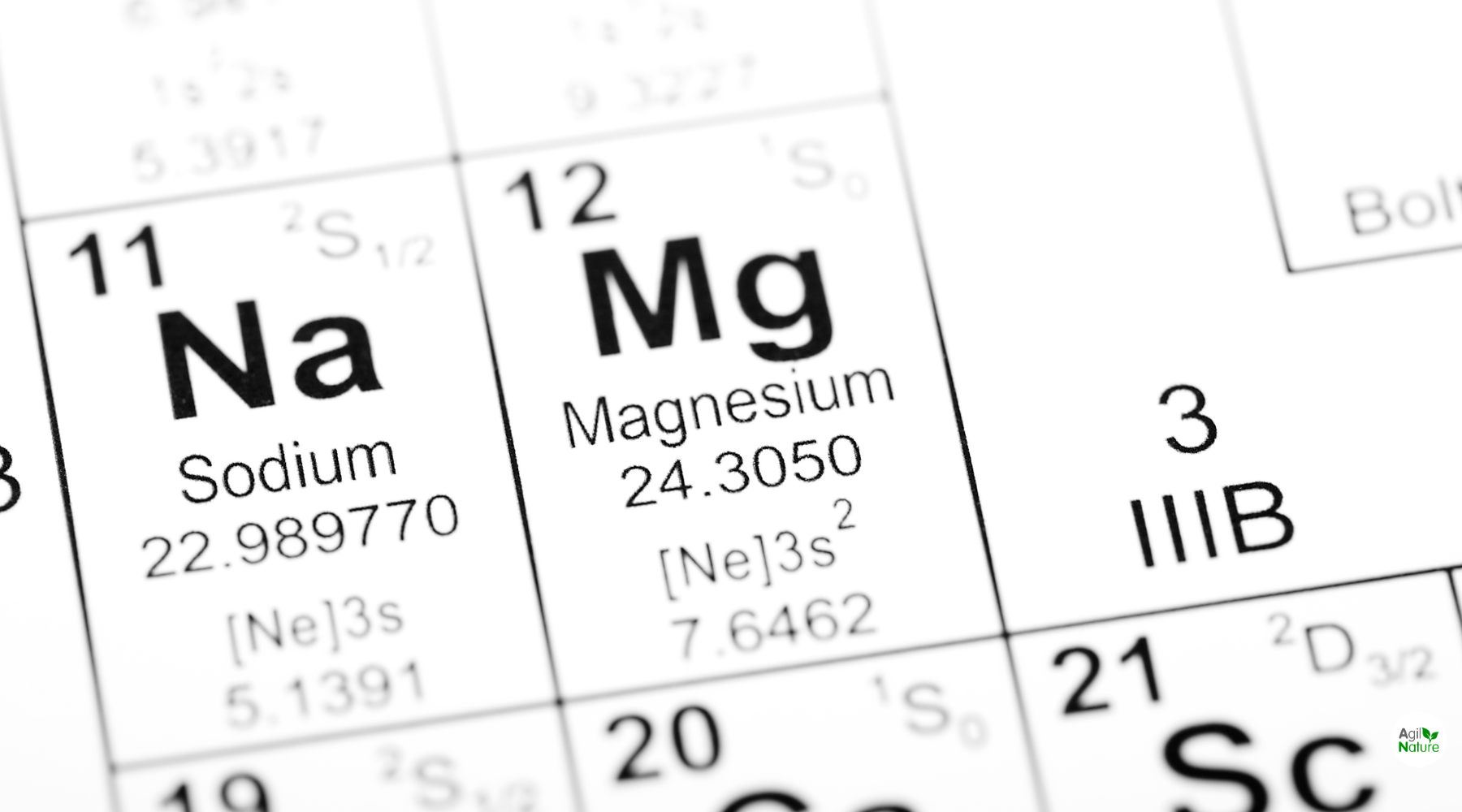 Vorteile und Nachteile der Einnahme von Magnesiumpräparaten in der veganen Ernährung