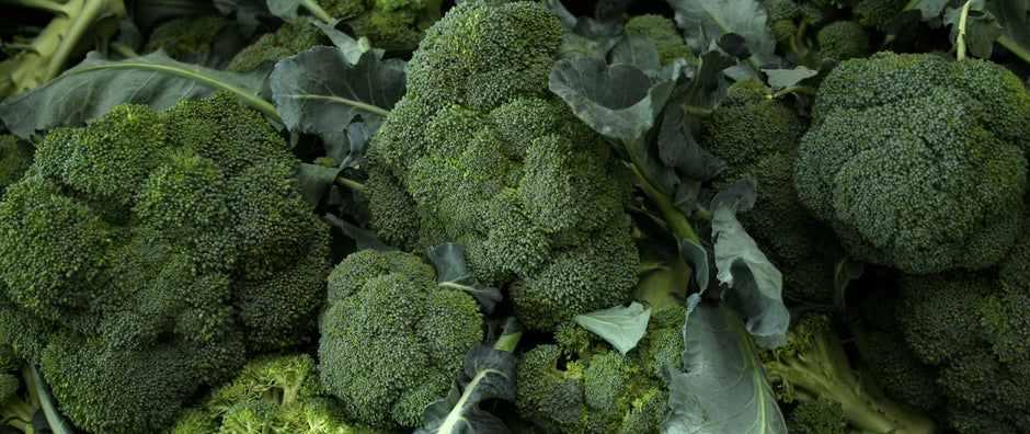 Brokkoli (BroccoRaphanin) AgilNature