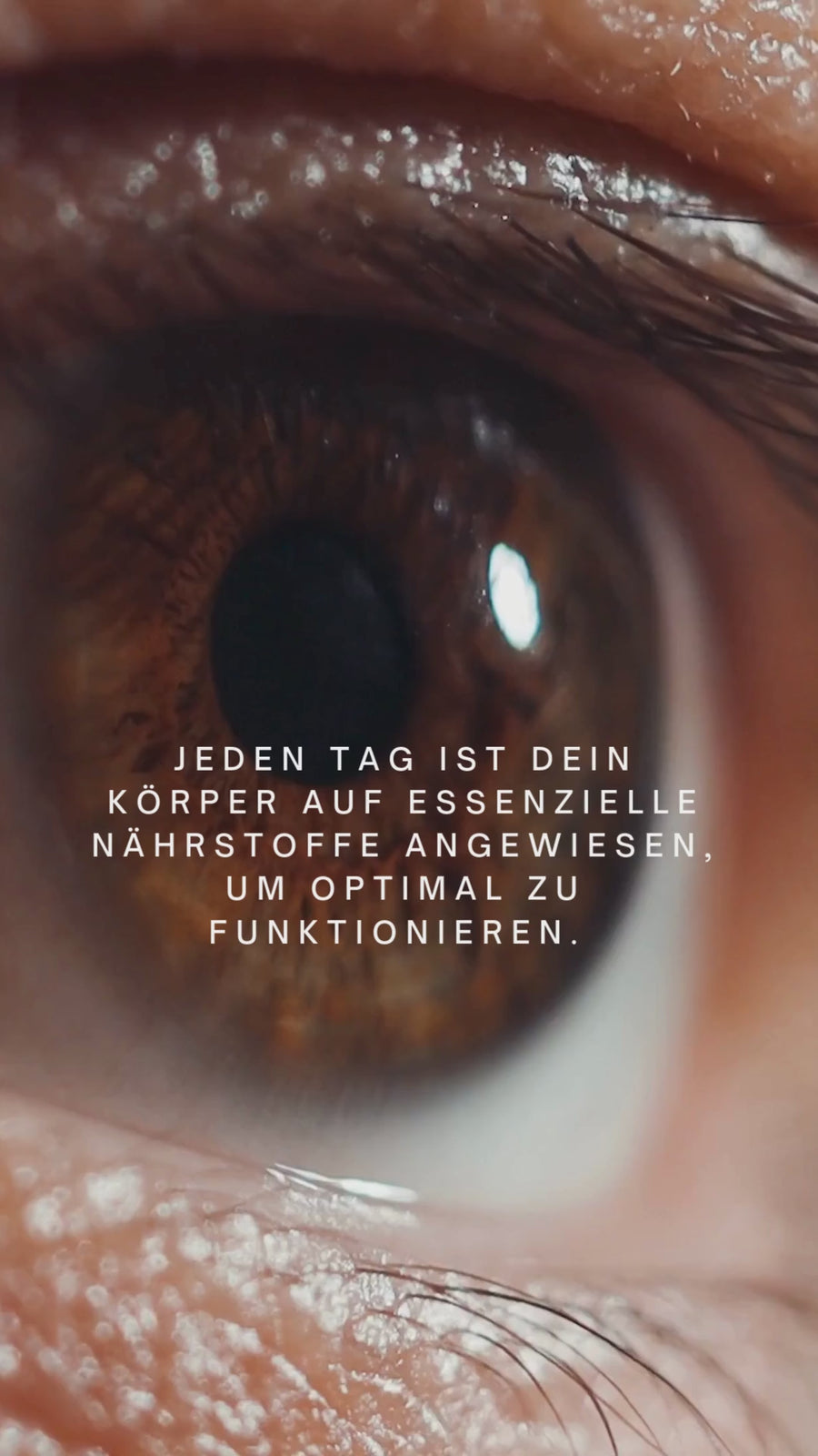 Video laden: 